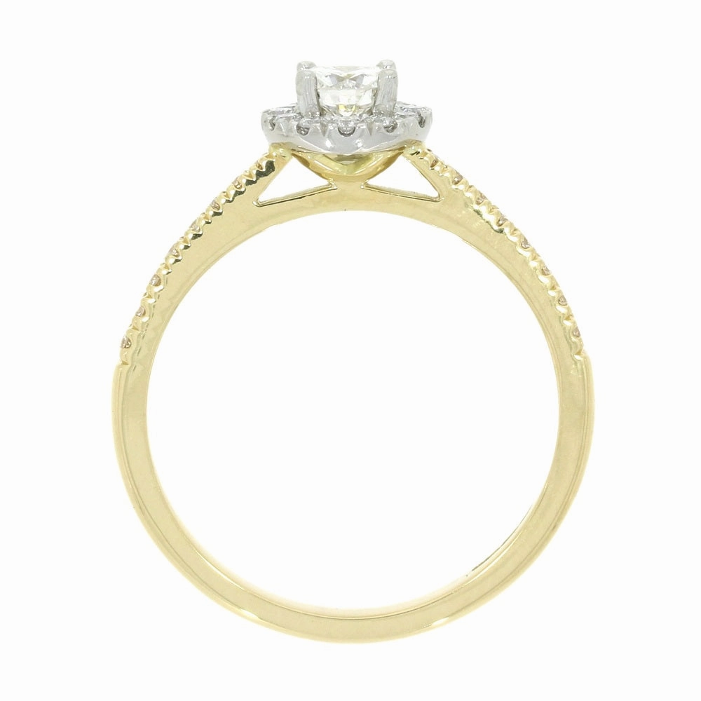 18ct Yellow Gold and Platinum Brilliant Cut 0.28ct Diamond Halo Cluster Ring