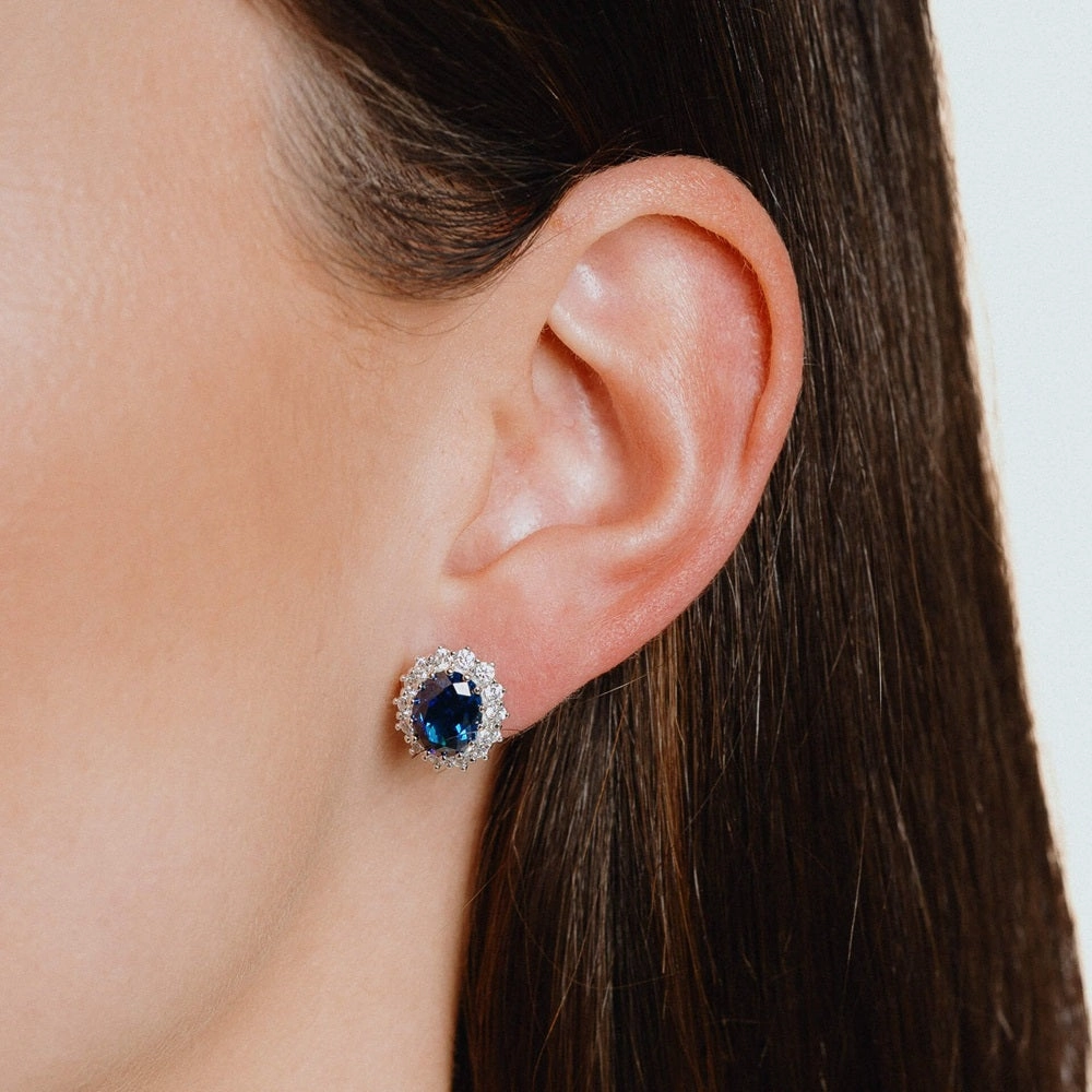 Diamonfire Sterling Silver Blue Cubic Zirconia Earrings E5586