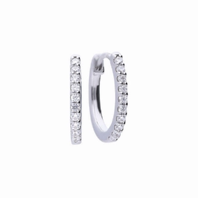 Diamonfire Sterling Silver Cubic Zirconia Hoop Earrings E5609