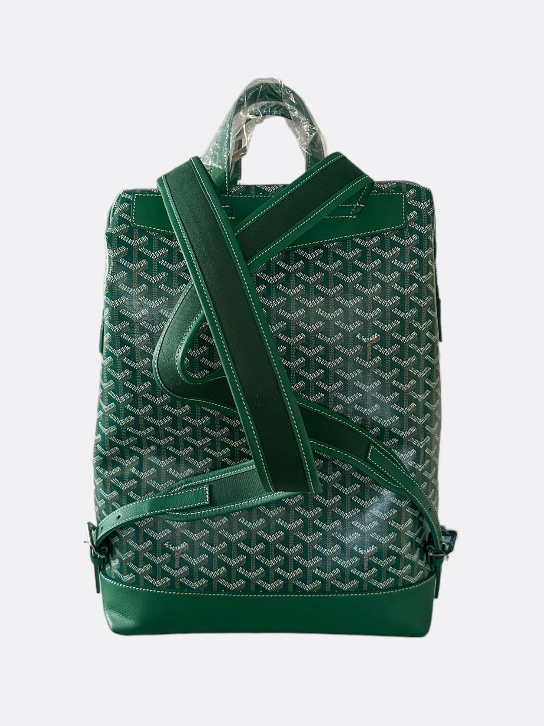 Goyard Green Cisalpin Backpack