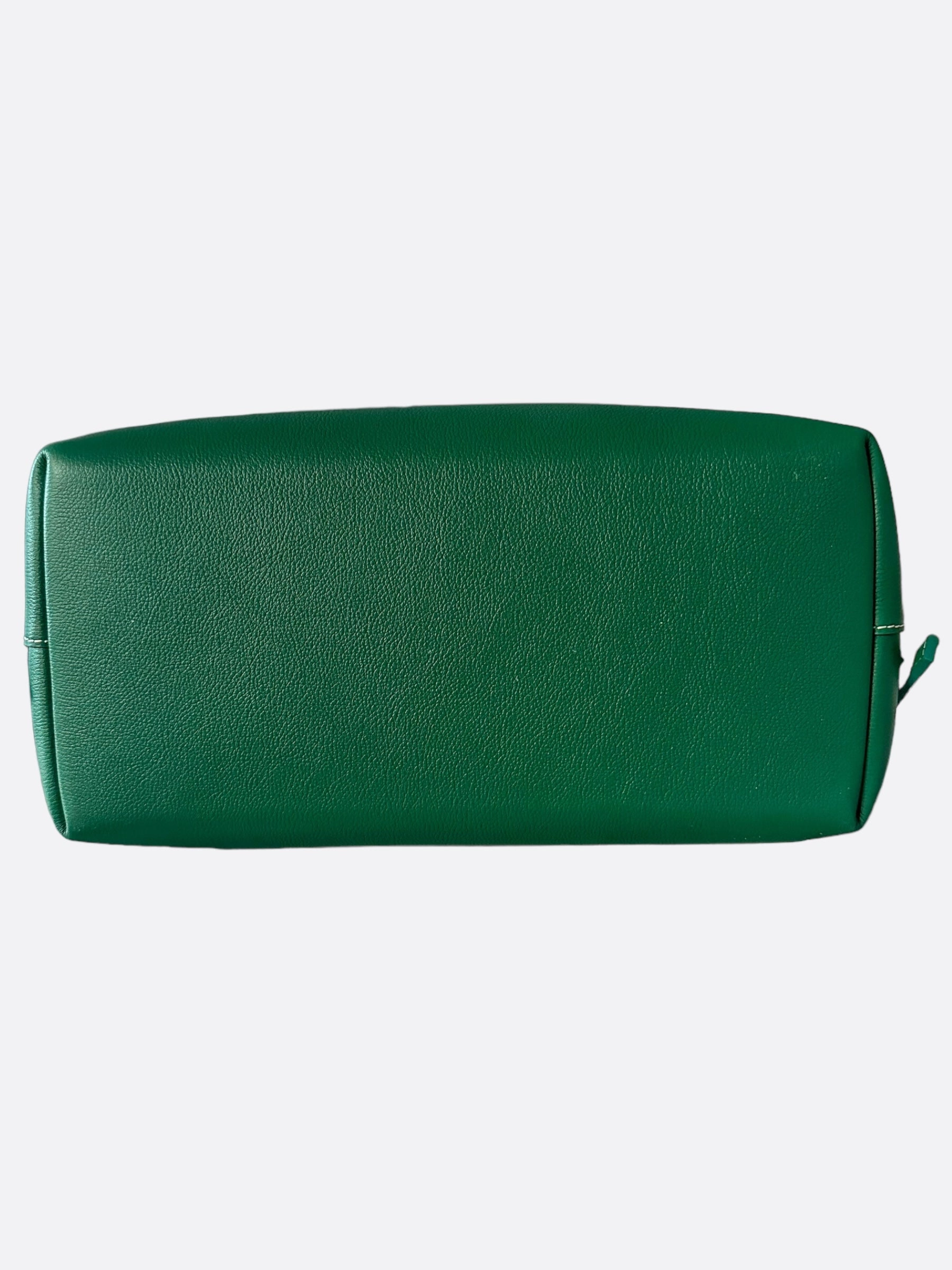 Goyard Green Cisalpin Backpack
