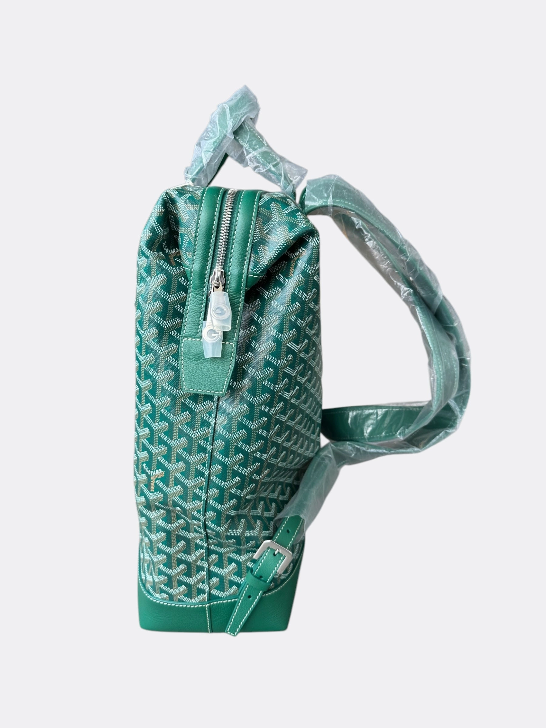 Goyard Green Cisalpin Backpack