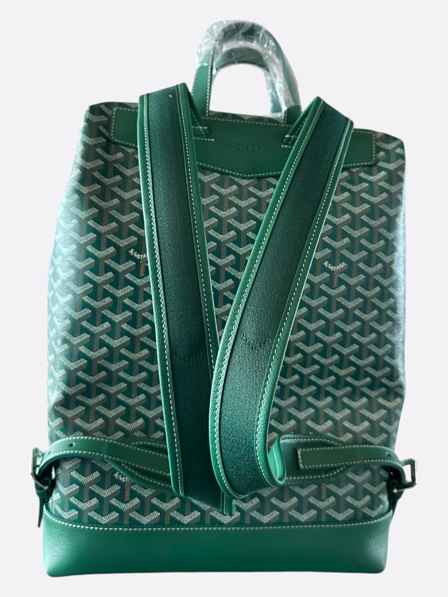 Goyard Green Cisalpin Backpack