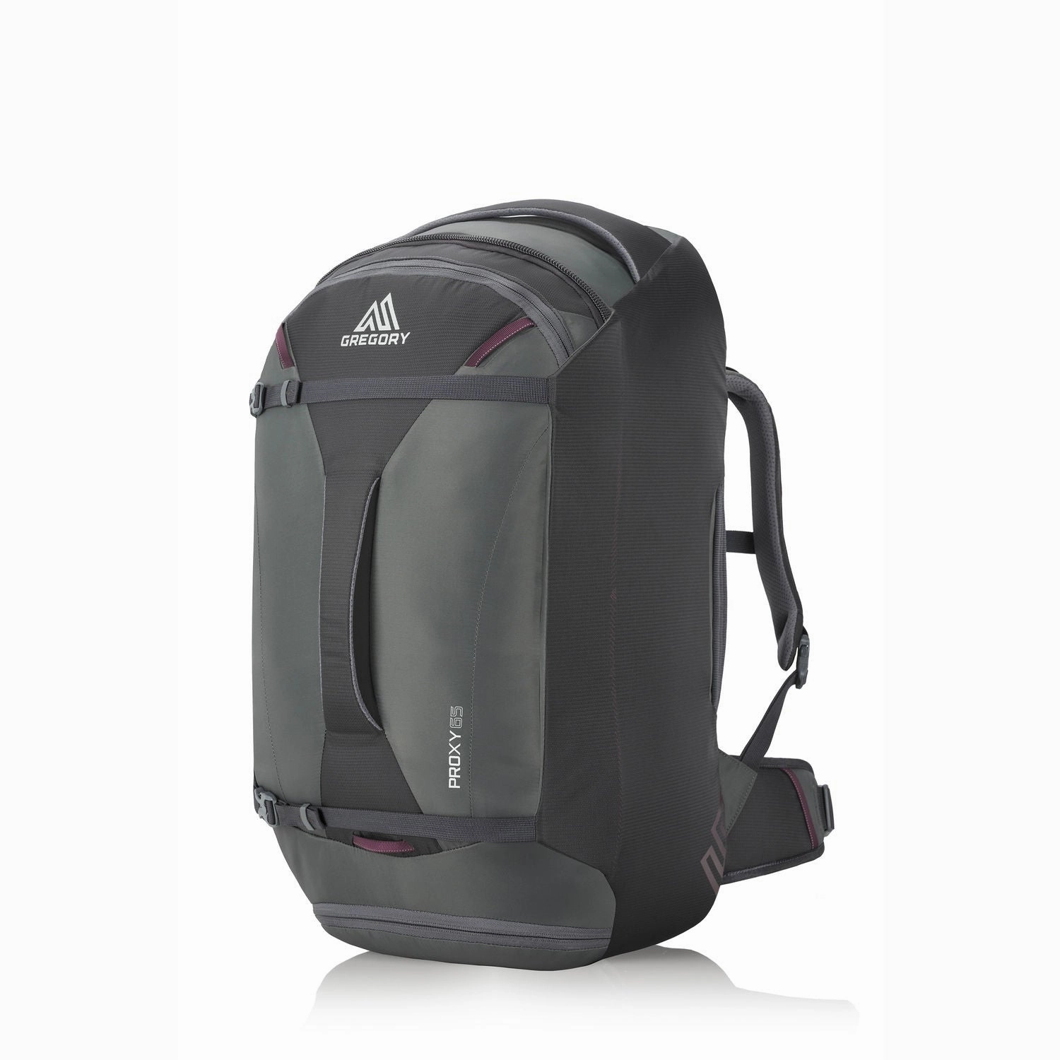 Gregory Adventure Travel Proxy 65 Pack
