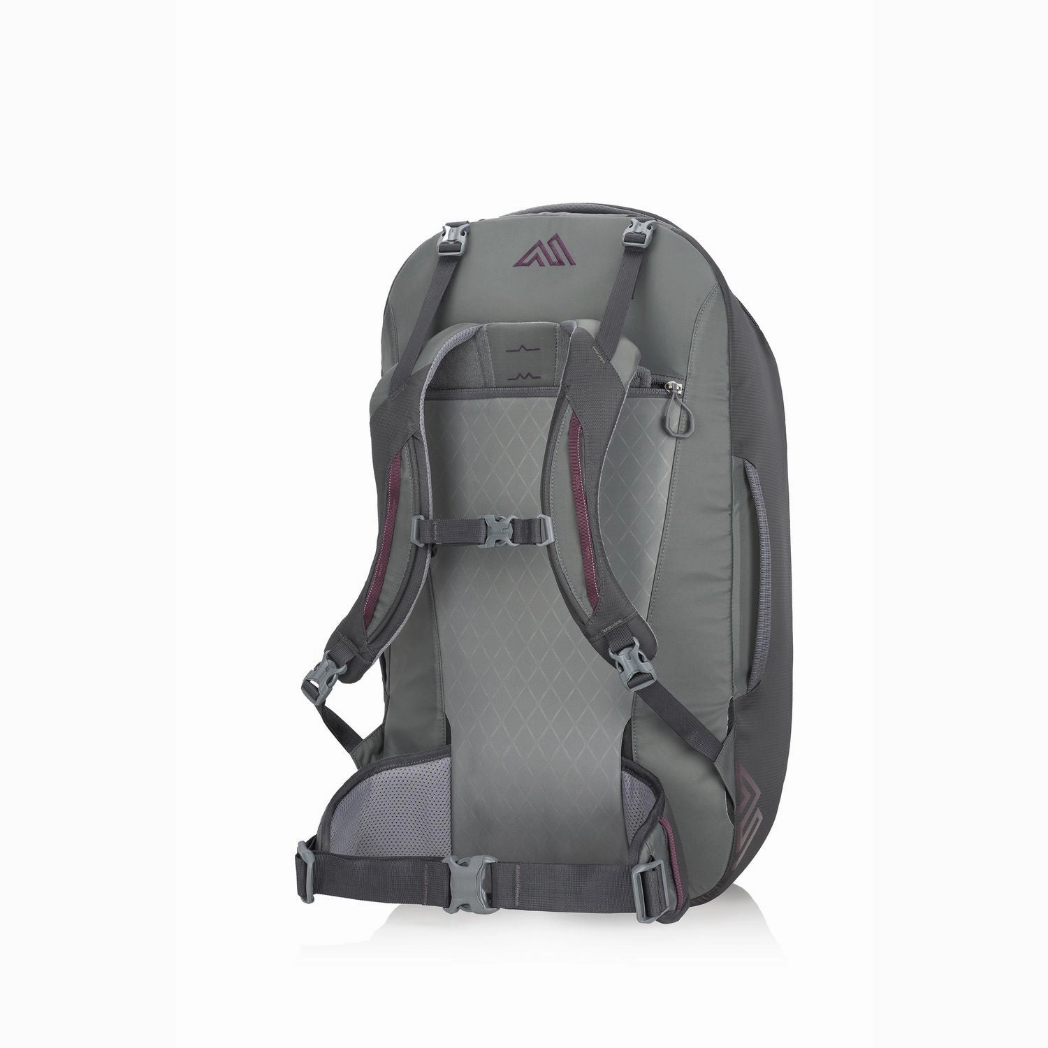 Gregory Adventure Travel Proxy 65 Pack