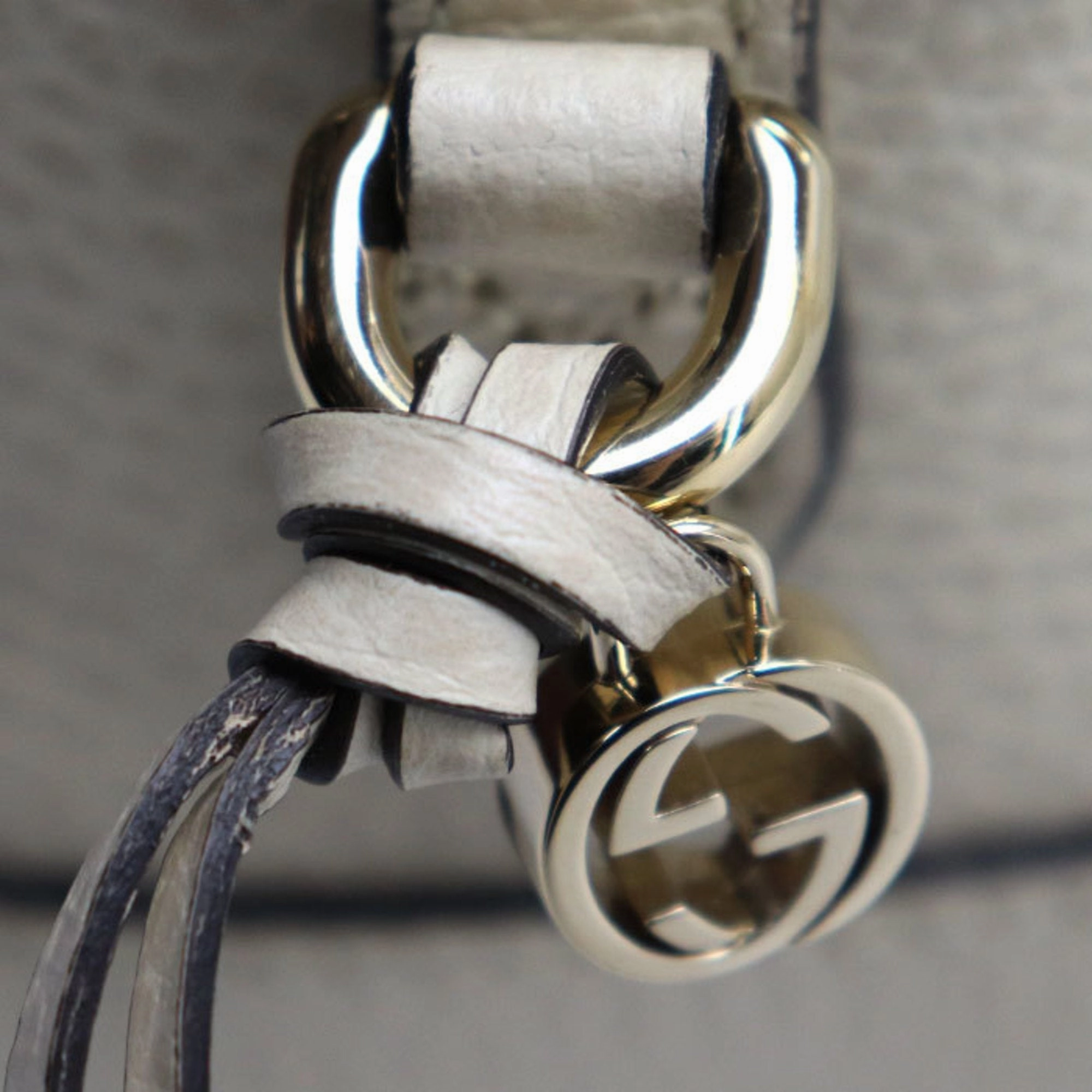 Gucci   Gg Canvas Leather Shoulder Bag (Pre-Owned)