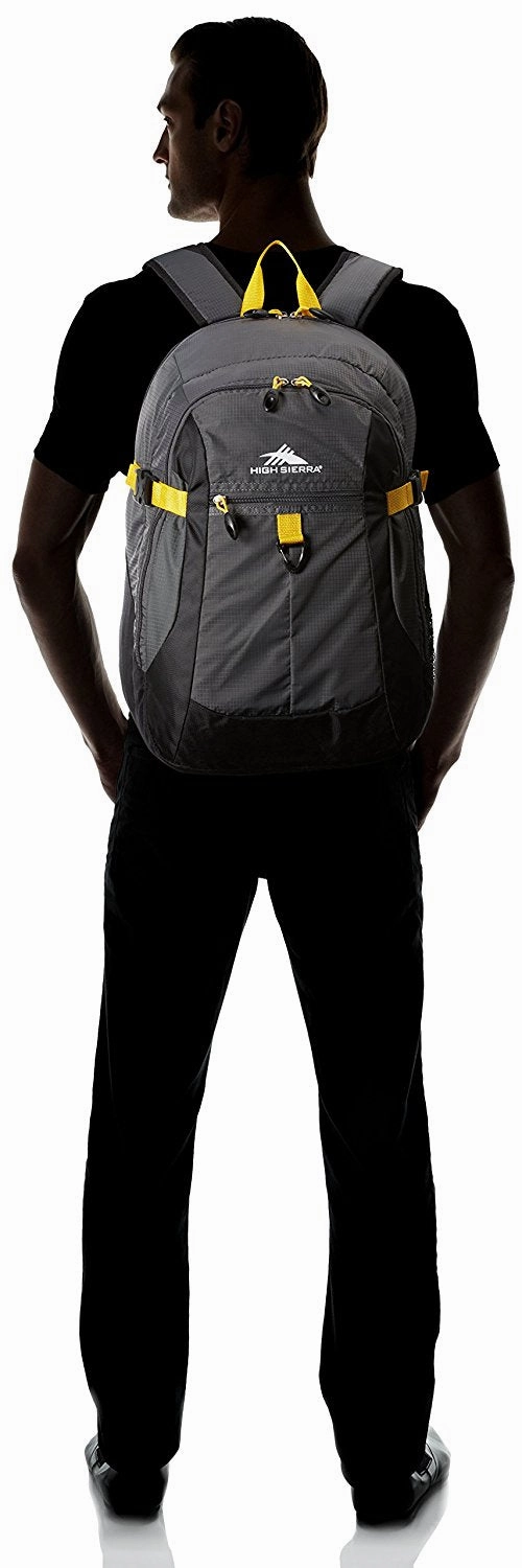 High Sierra Sportour Computer Backpack