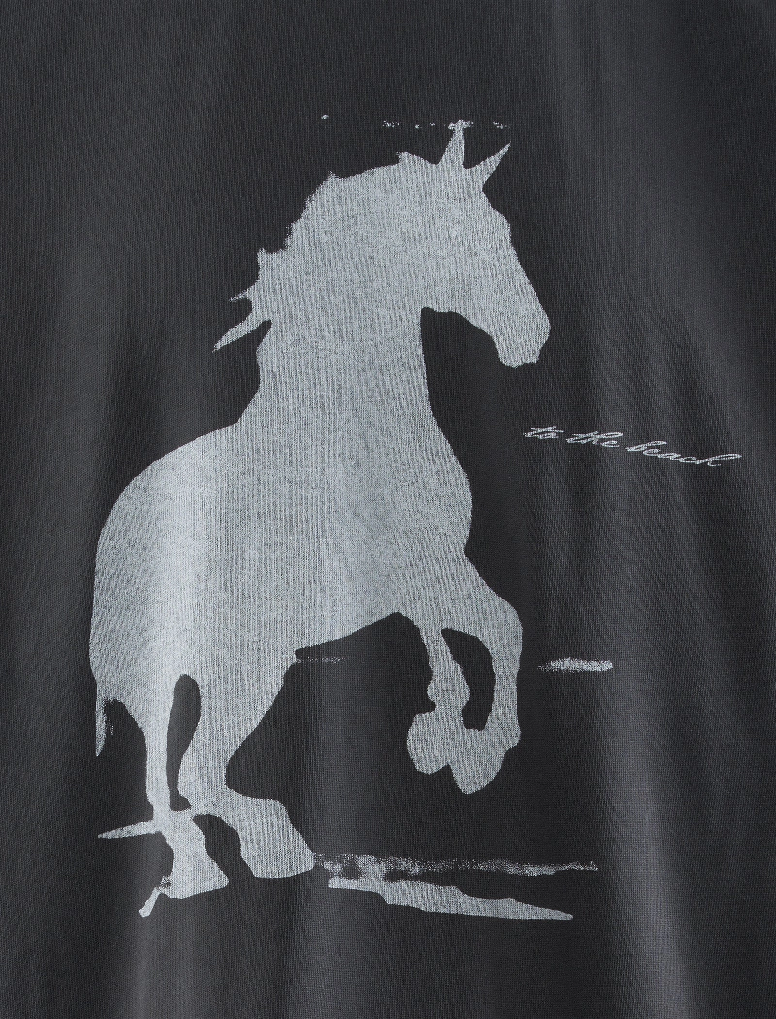 HORSE TO THE BEACH TEE