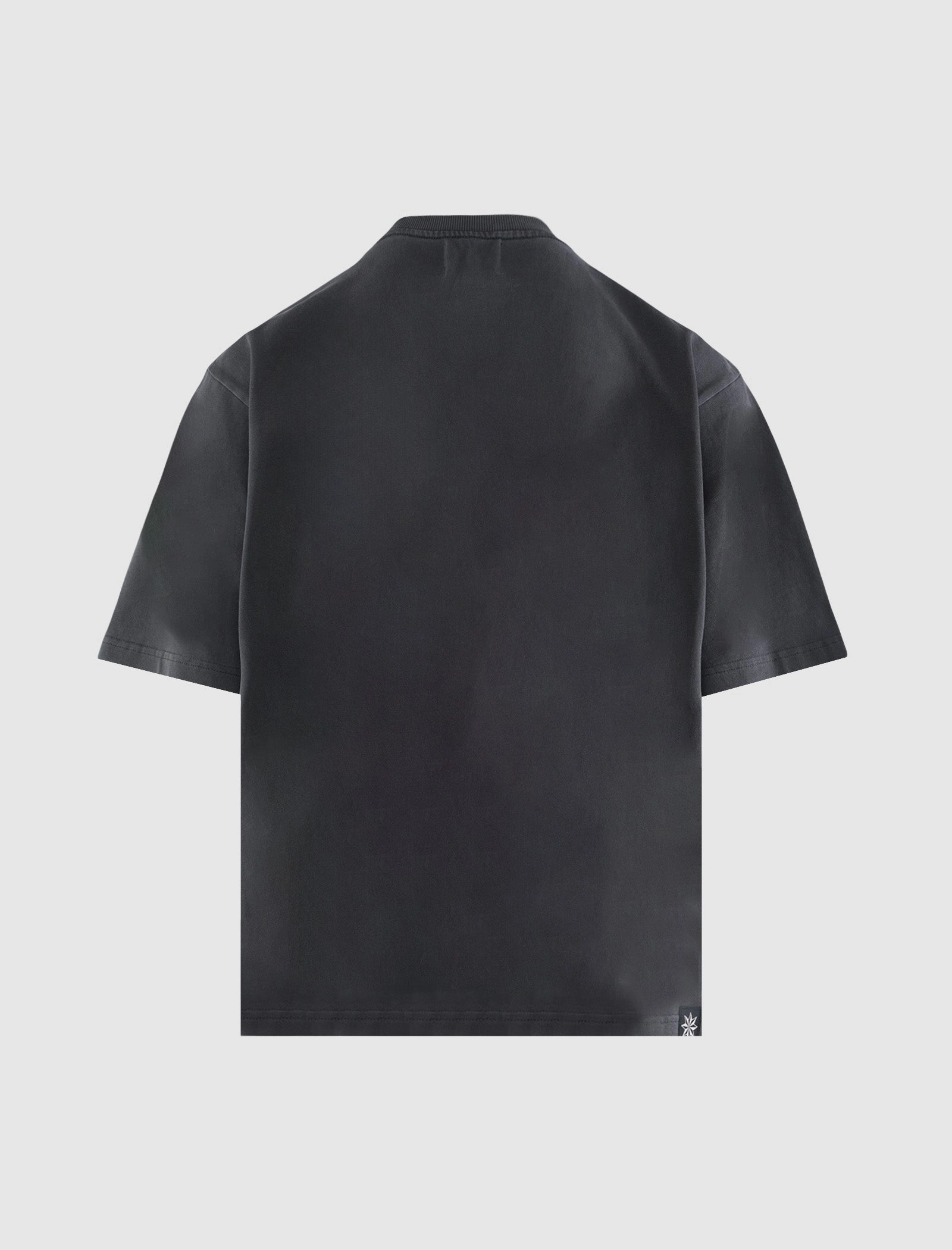 HORSE TO THE BEACH TEE