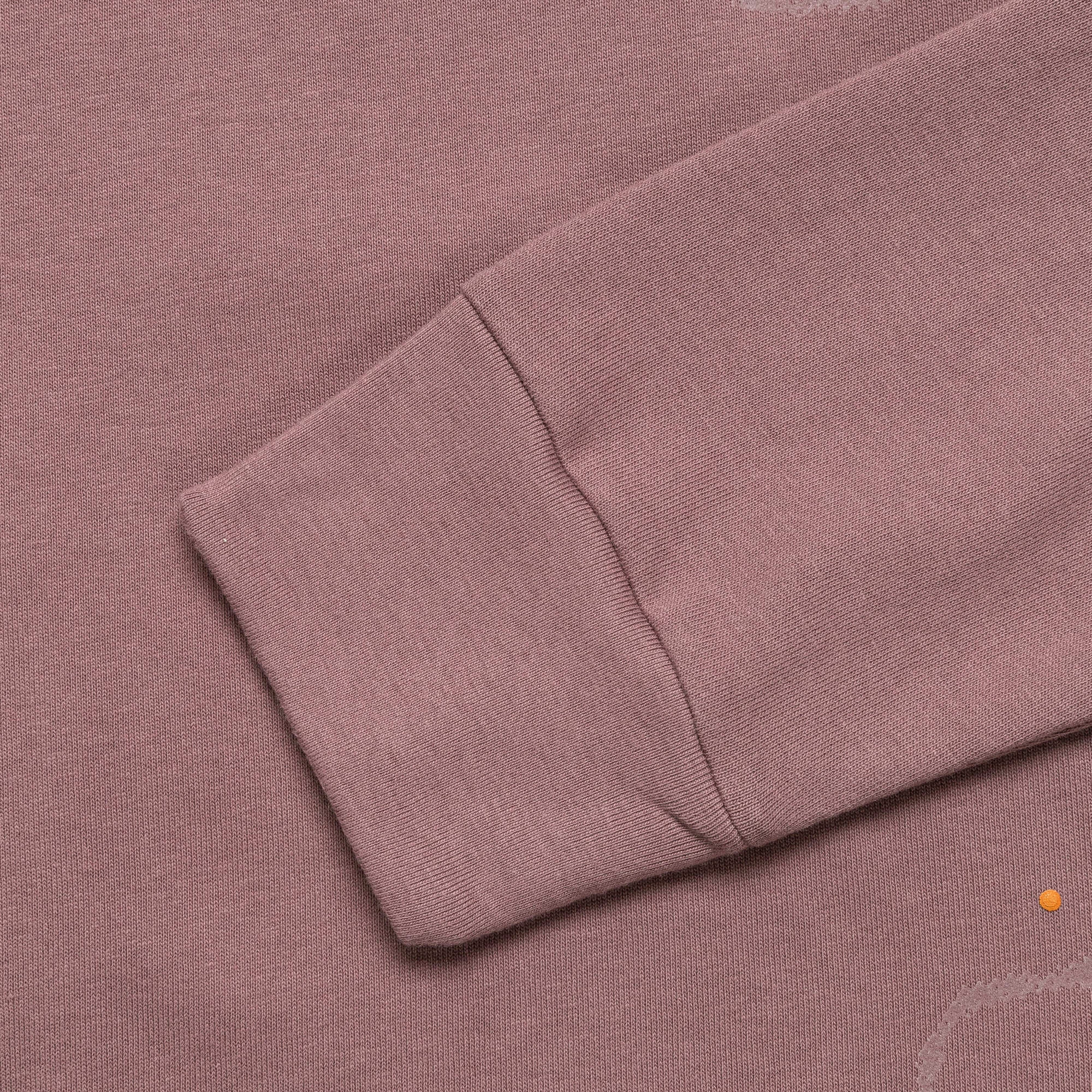 ISPA PRTCT SNSE LS T-Shirt - Smokey Mauve