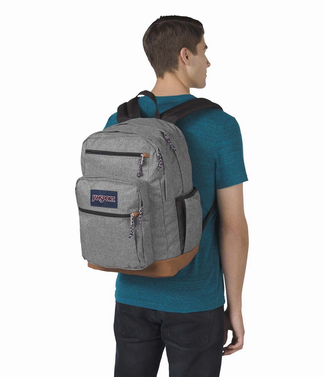 JanSport Classic Cool Student
