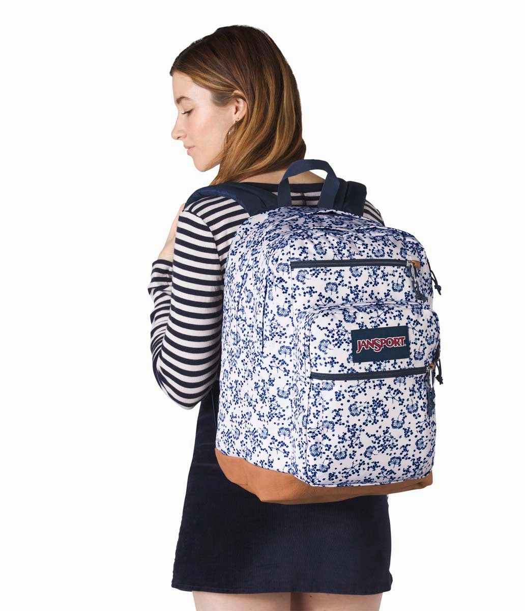 JanSport Classic Cool Student
