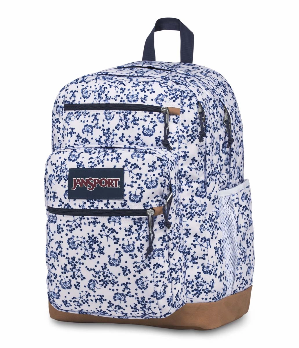 JanSport Classic Cool Student
