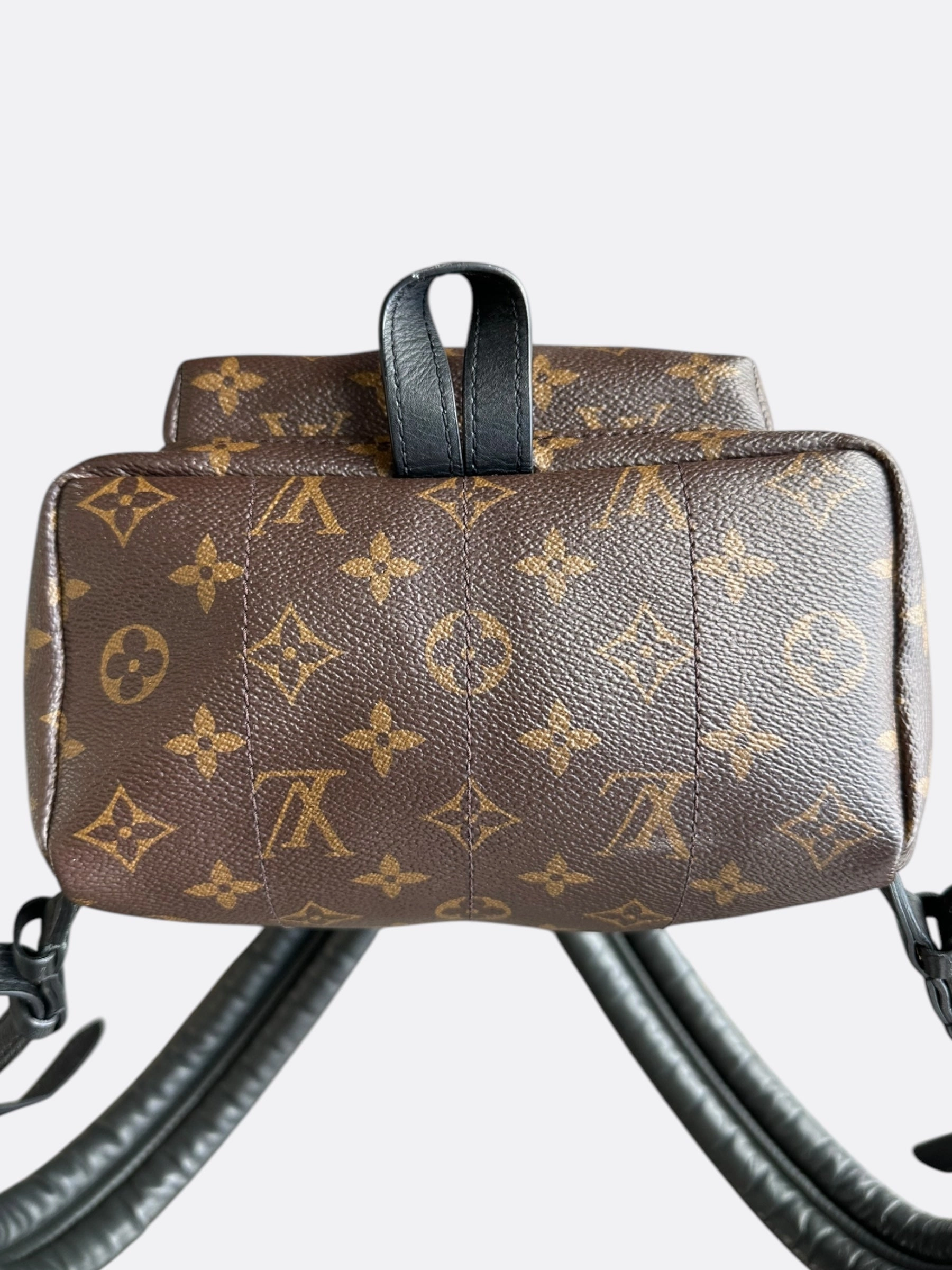 Louis Vuitton Brown Monogram Palm Springs Mini Backpack
