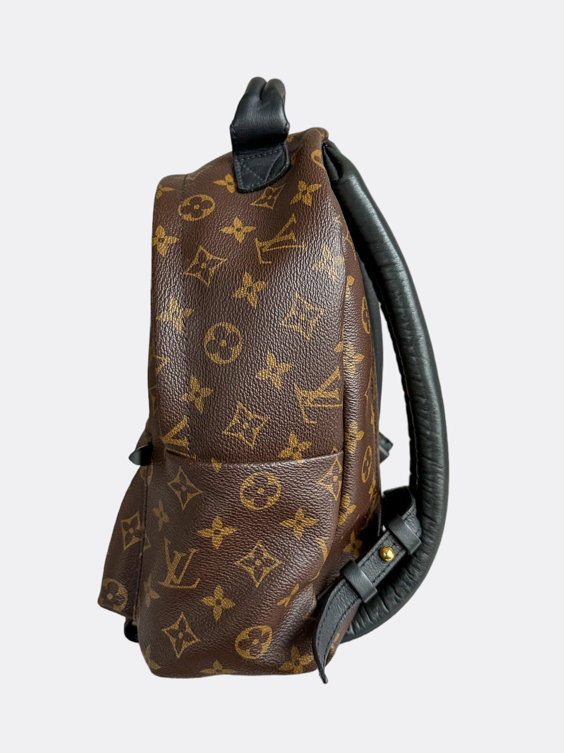 Louis Vuitton Brown Monogram Palm Springs Mini Backpack