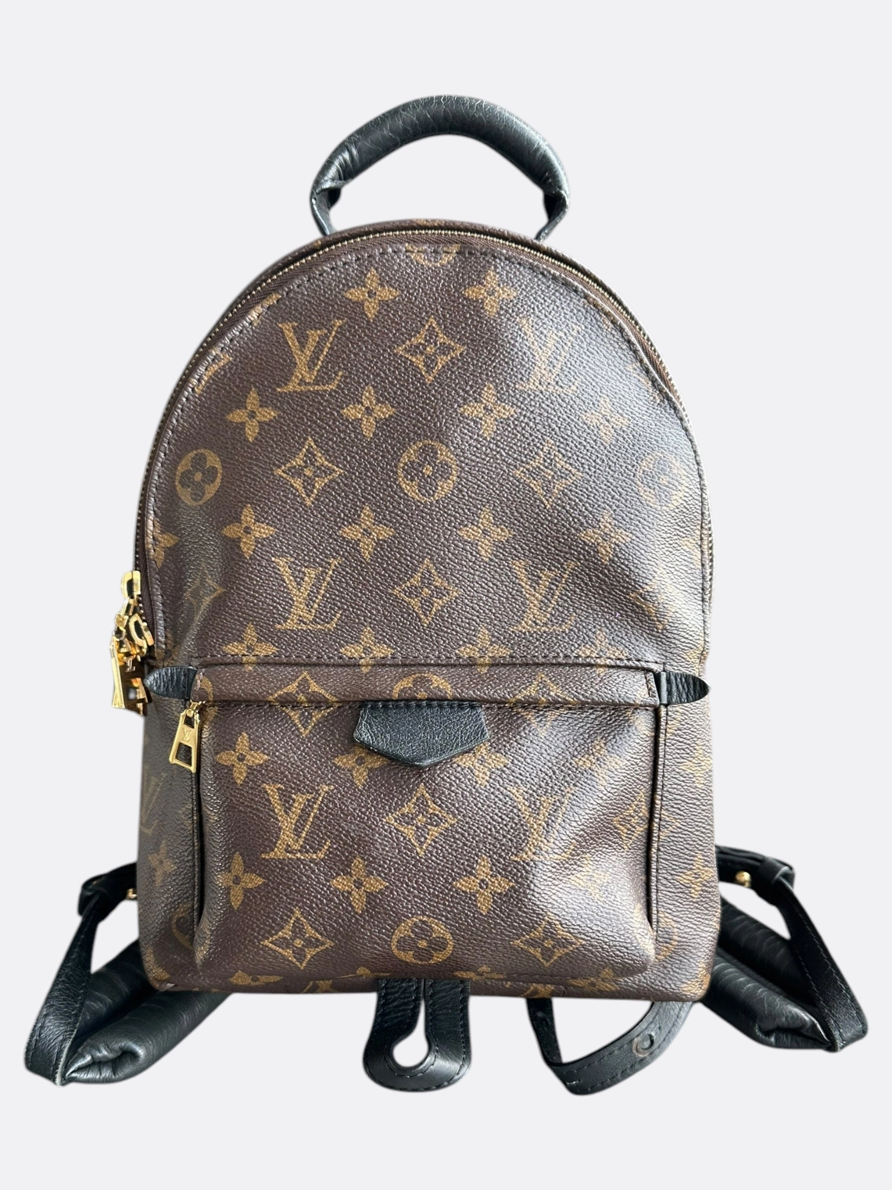 Louis Vuitton Brown Monogram Palm Springs Mini Backpack
