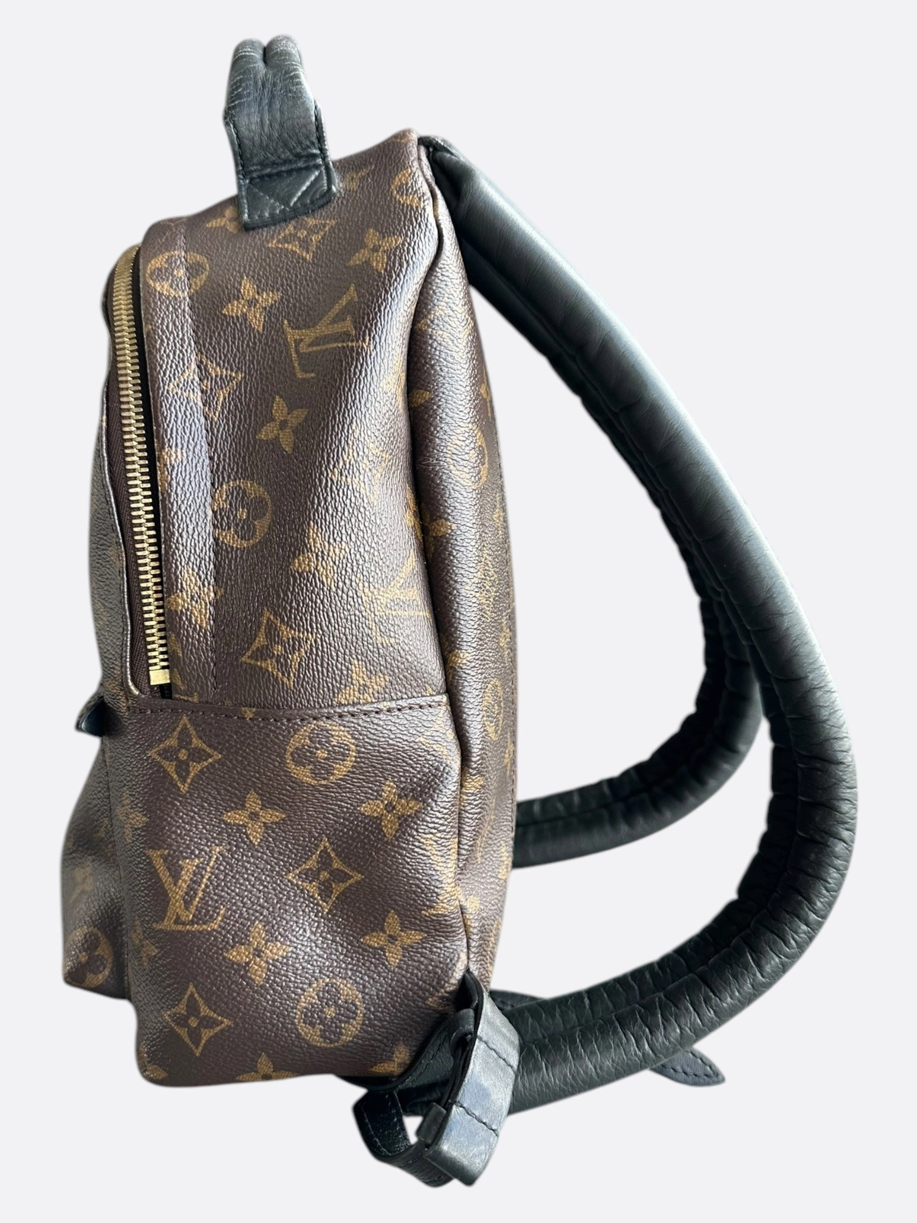 Louis Vuitton Brown Monogram Palm Springs Mini Backpack