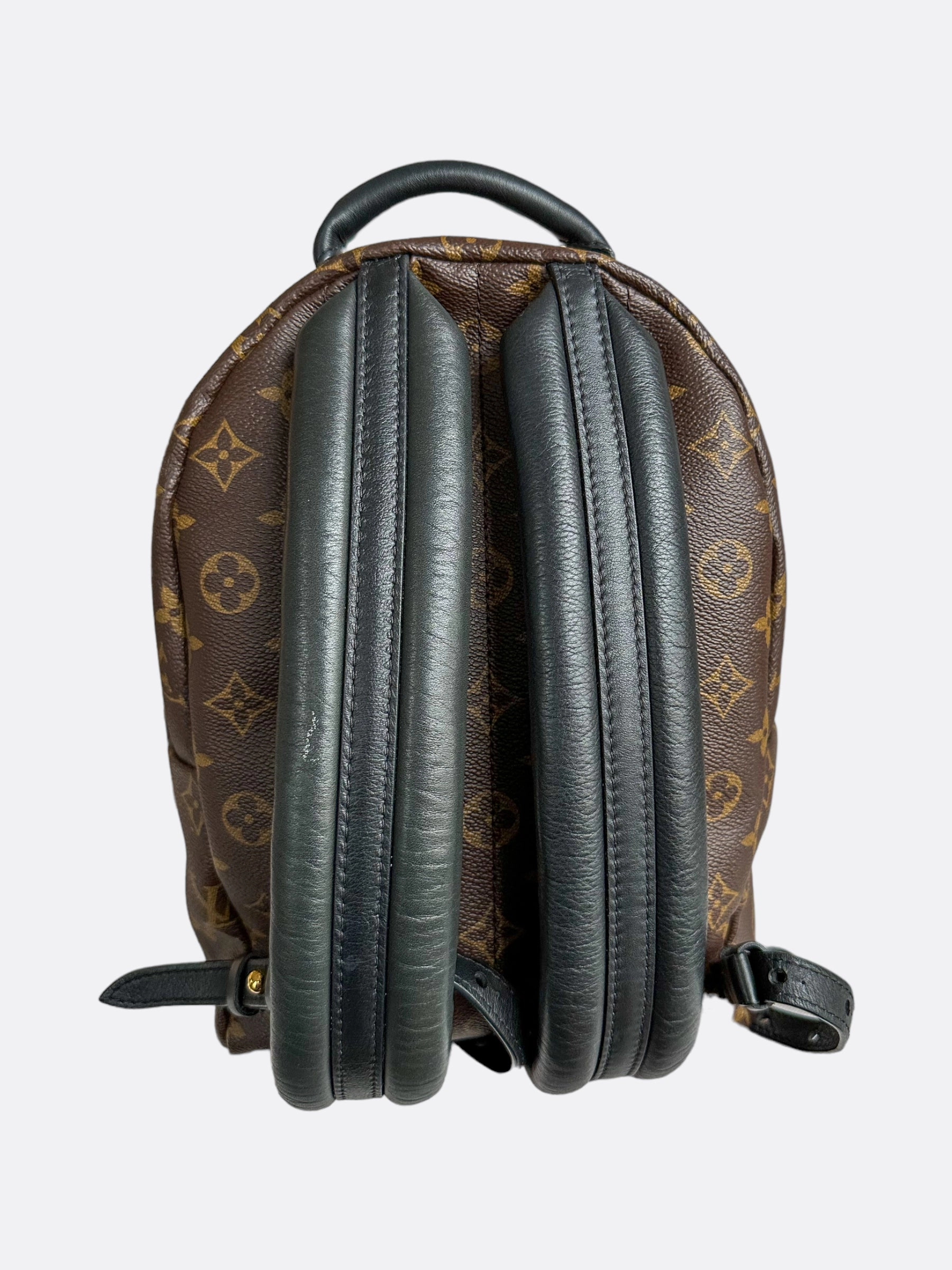 Louis Vuitton Brown Monogram Palm Springs Mini Backpack