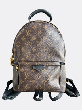 Louis Vuitton Brown Monogram Palm Springs Mini Backpack