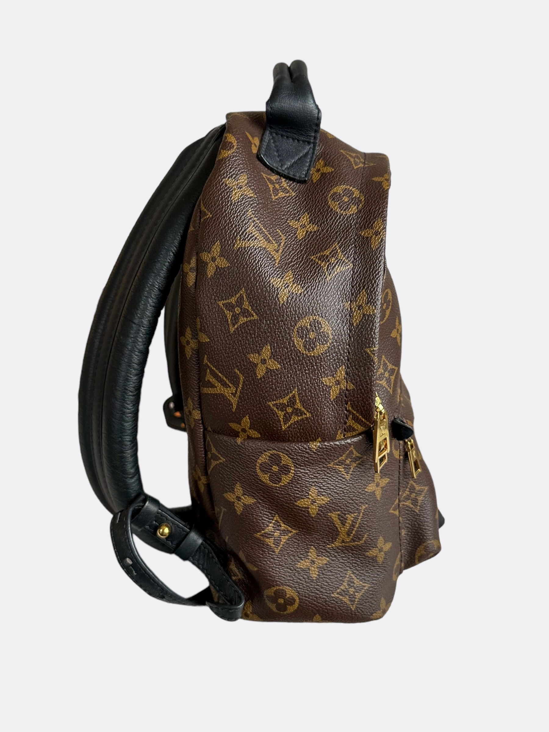 Louis Vuitton Brown Monogram Palm Springs Mini Backpack