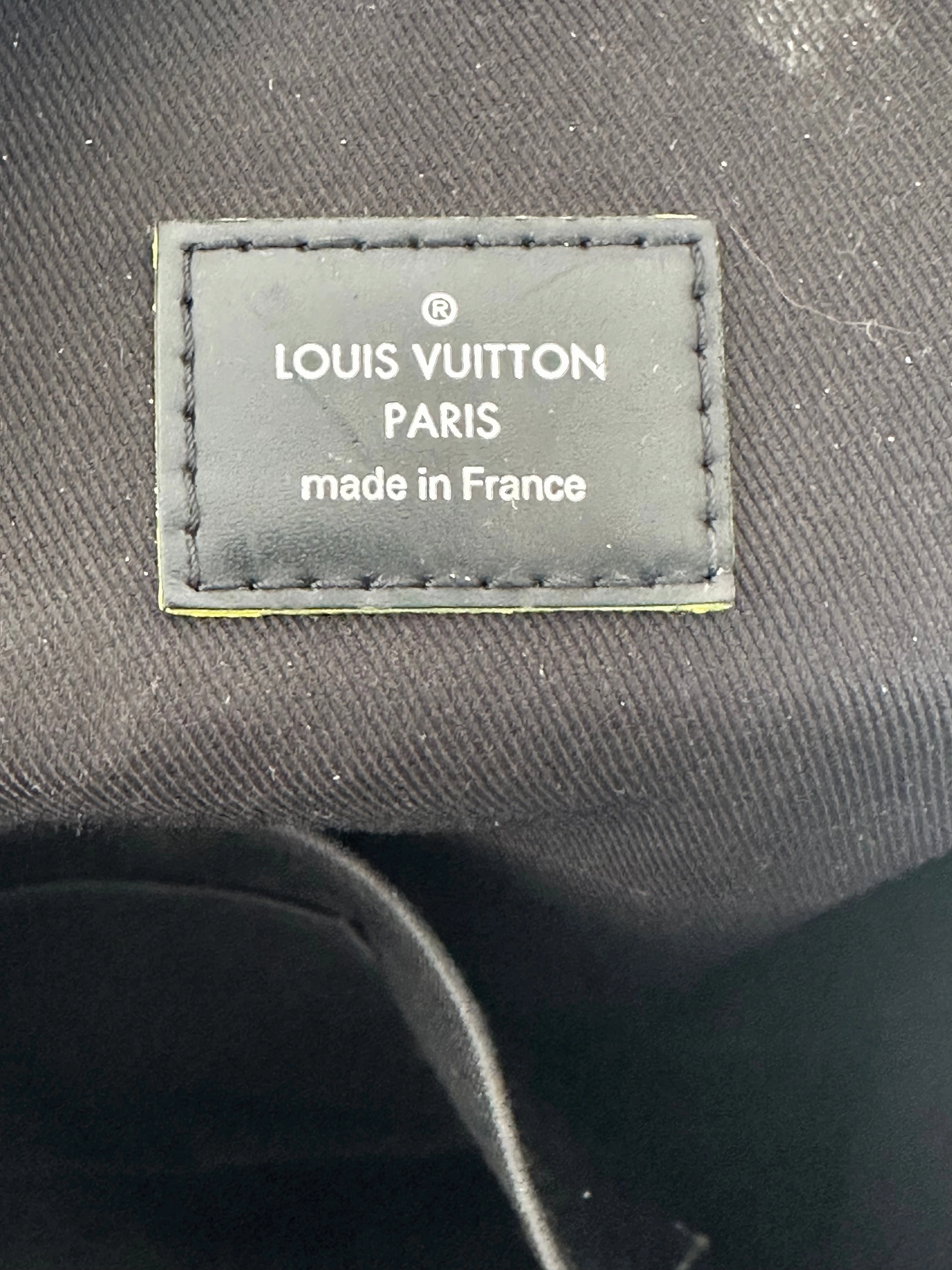 Louis Vuitton Damier Graphite Alps Christopher Backpack