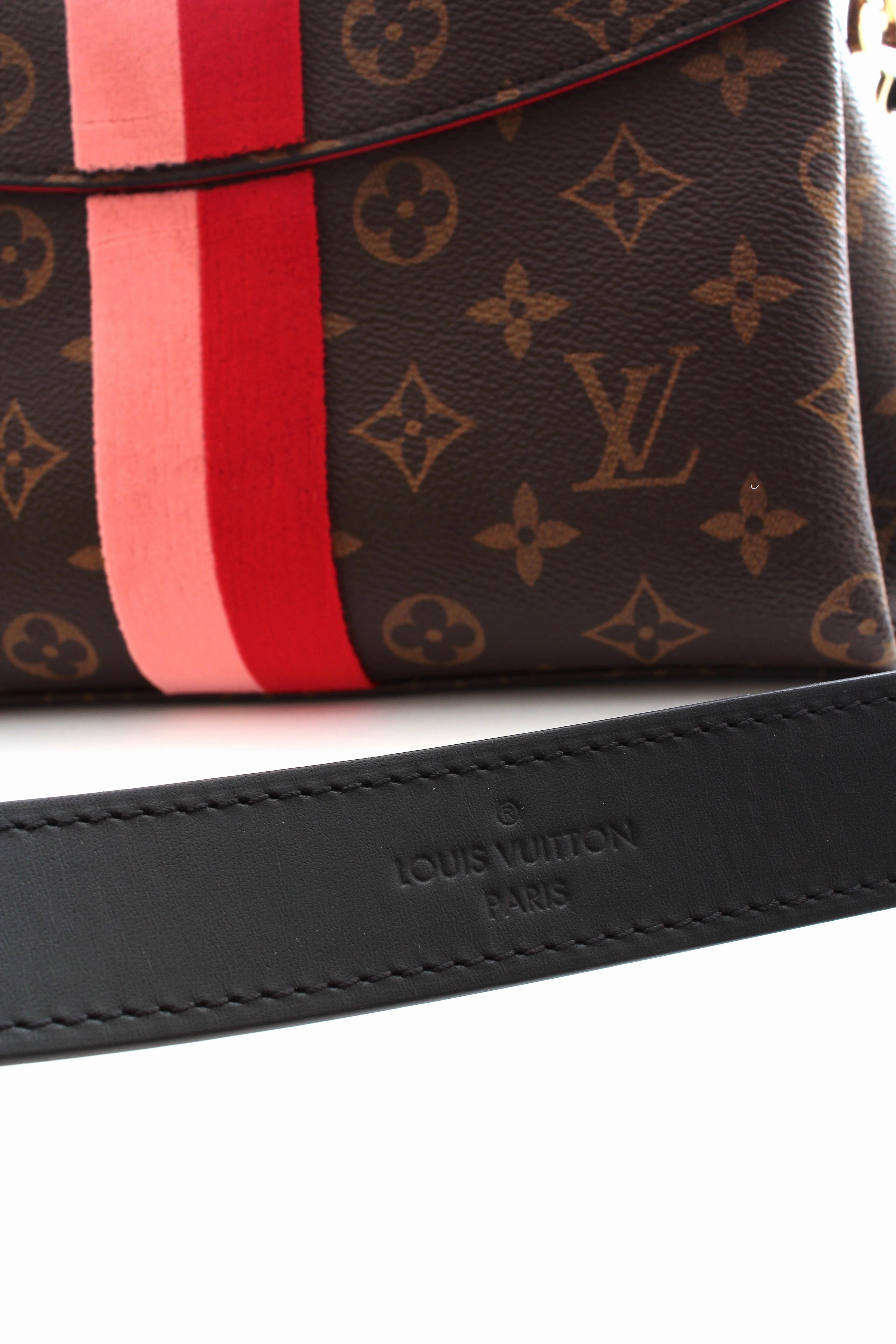 Louis Vuitton Georges BB Monogram Bag