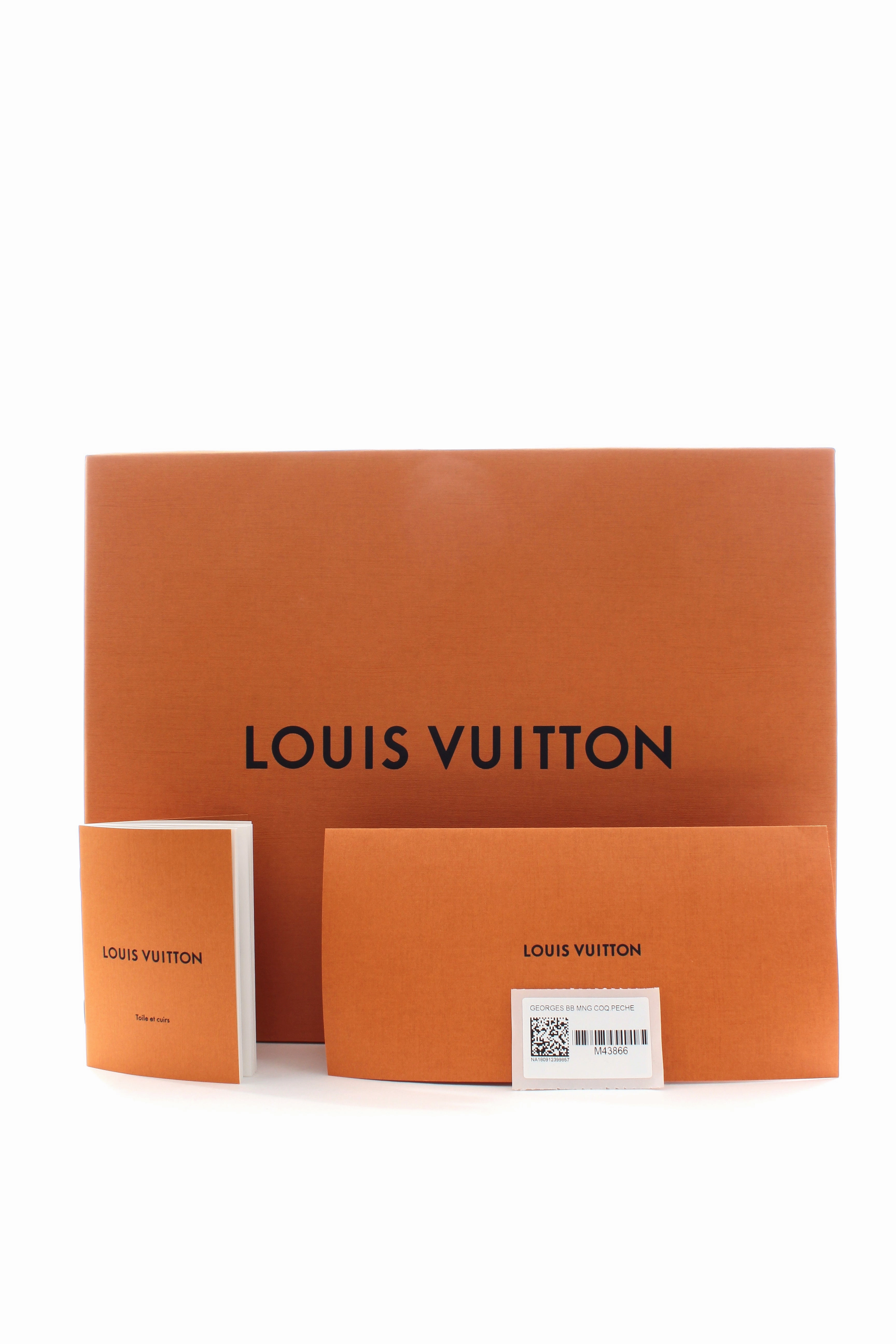 Louis Vuitton Georges BB Monogram Bag