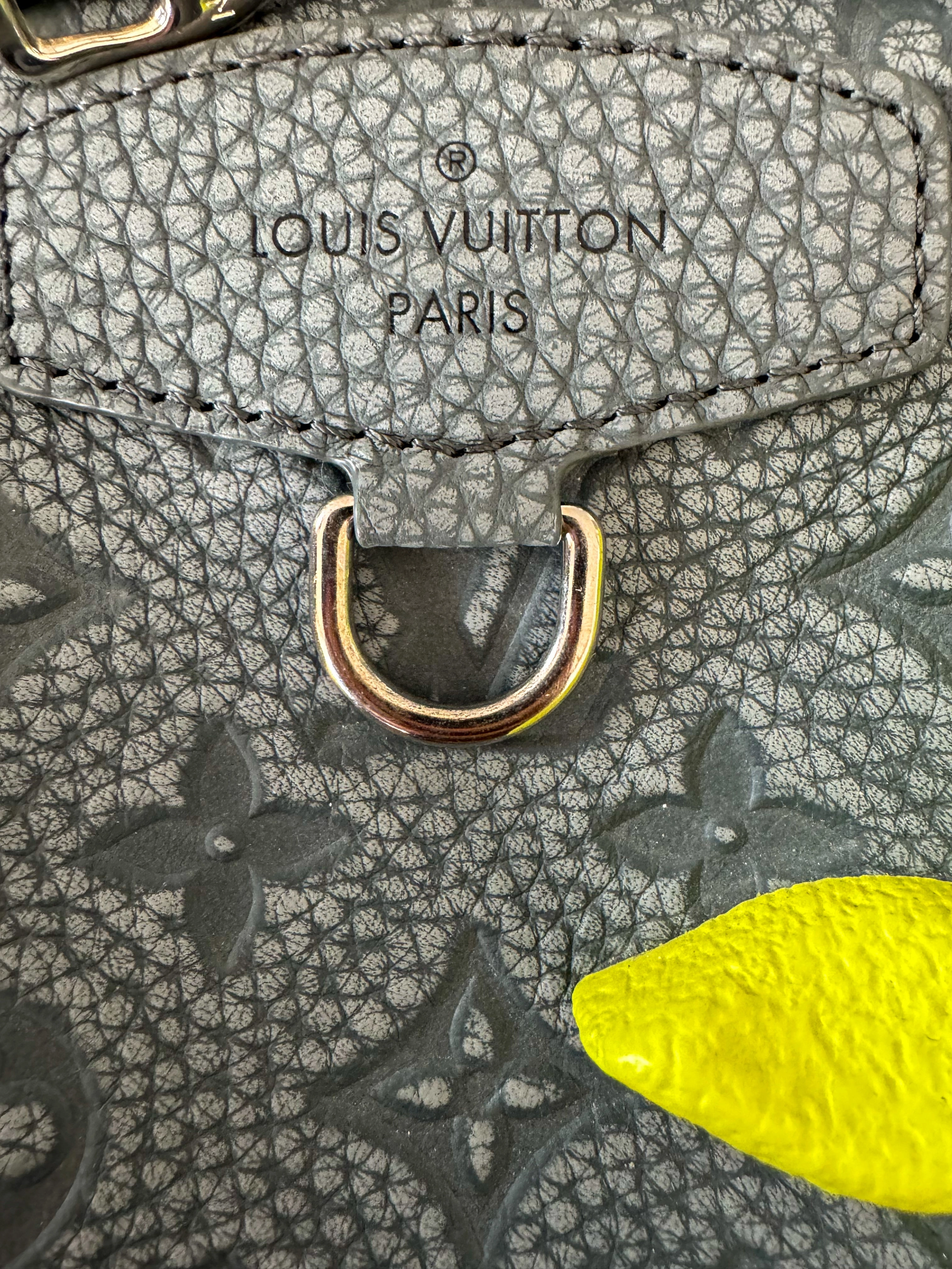 Louis Vuitton Granite Taurillon Monogram Climbing Ellipse Backpack
