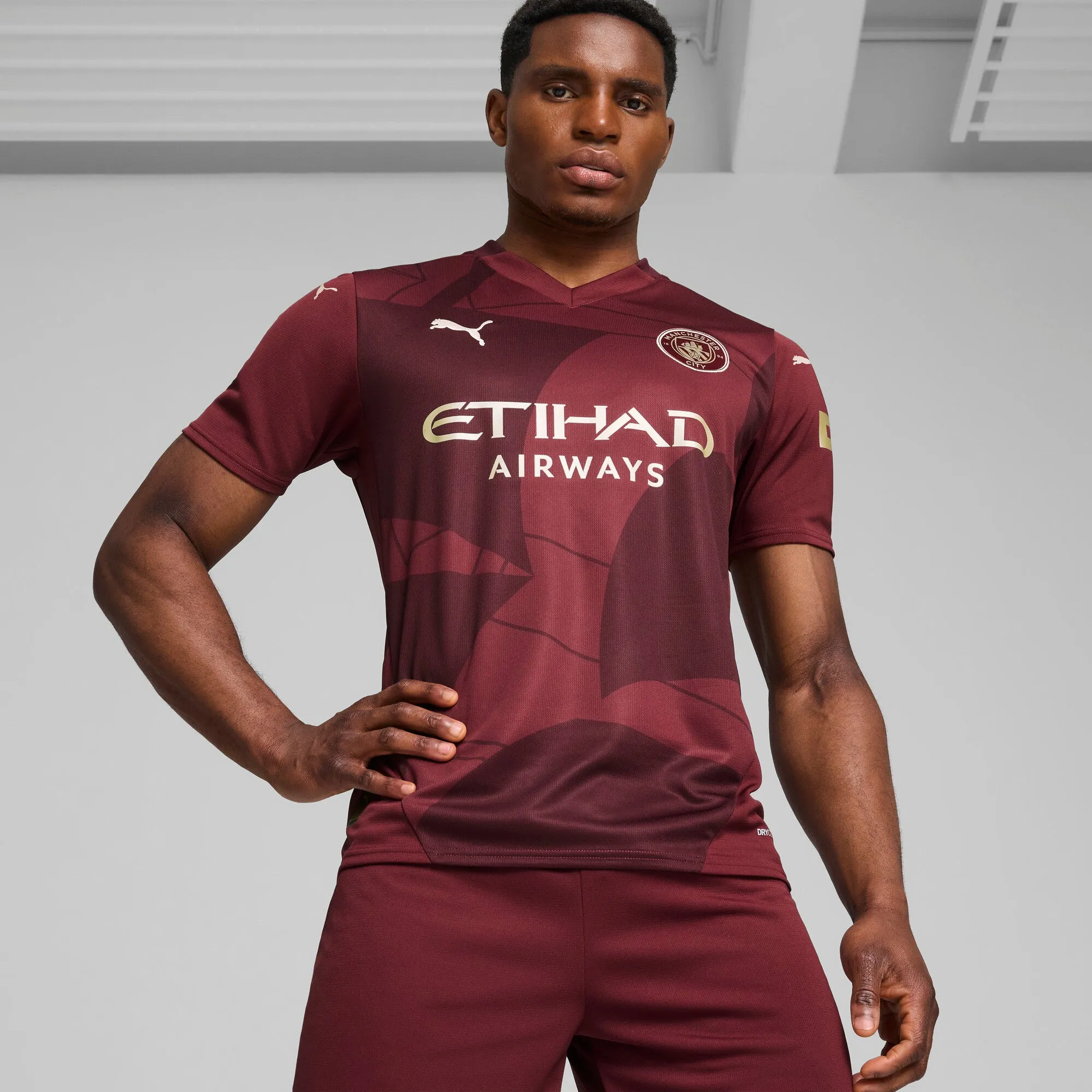 PUMA Men's Manchester City 24/25 Replica Third Soccer Jersey